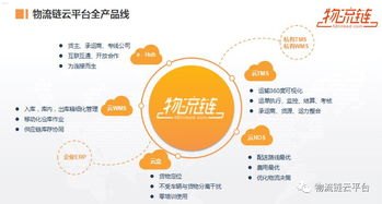国古号卡分销平台，数字时代的创新与机遇国古号卡分销平台官网