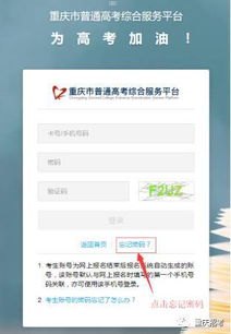 号卡分销平台最火的五款号卡分销平台最火的五款是什么