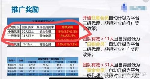 国际流量卡代理，开启全球畅游的新途径国际流量卡代理骗局