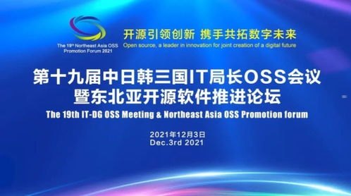 宸宇号卡平台，数字时代的创新与发展宸宇号卡平台官网