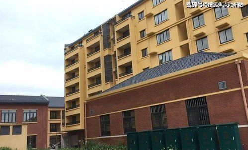 探索代理流量卡的平台，优势、风险与选择有没有代理流量卡的平台啊