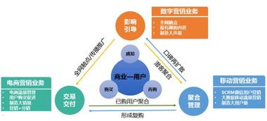 号推推号卡平台一级代理，开启数字营销新纪元号推推号卡平台一级代理邀请码