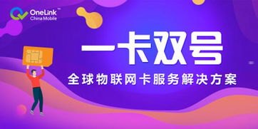 专业号卡推广平台，助力企业高效拓展市场的利器专业号卡推广平台有哪些