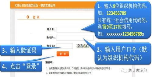 81号卡分销系统使用指南，从入门到精通81号卡分销系统怎么用不了
