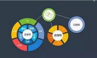 81号卡分销系统使用指南，从入门到精通81号卡分销系统怎么用不了