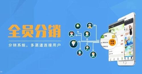 172卡分销系统，革新数字产品分销的新模式172卡分销系统官网