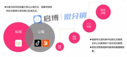 172卡分销系统，革新数字商品分销模式的未来趋势172卡分销系统官网