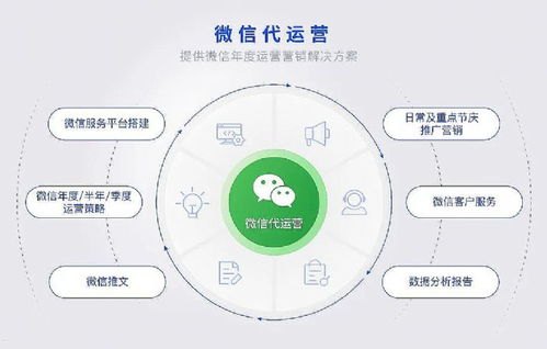 51号卡分销系统一级代理，开启数字营销新纪元51号卡分销系统一级代理怎么操作