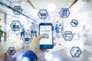 172号卡网，数字化时代的通信革命172号卡网址