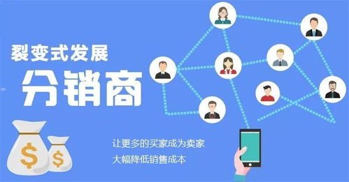 如何有效推广电话卡，策略、渠道与成功案例分析怎么推广电话卡赚佣金