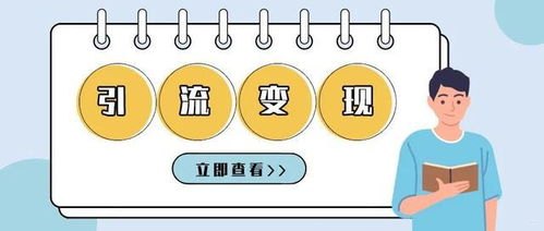 推广流量卡平台，如何高效引流与变现推广流量卡平台有哪些