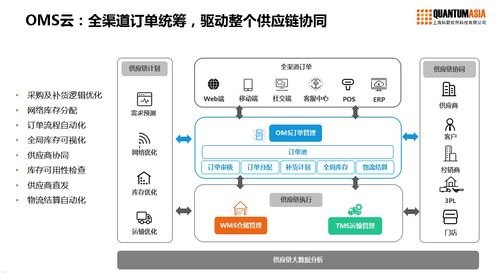 敢探号供应商一级代码，数字化供应链的核心引擎敢探号订单管理与分销系统