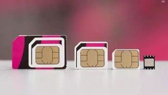 号卡分销宝，数字化时代的通信业务新引擎号卡分销宝app