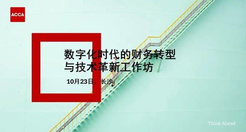 敢探号一级代码，数字时代的探险精神与技术革新敢探号系统