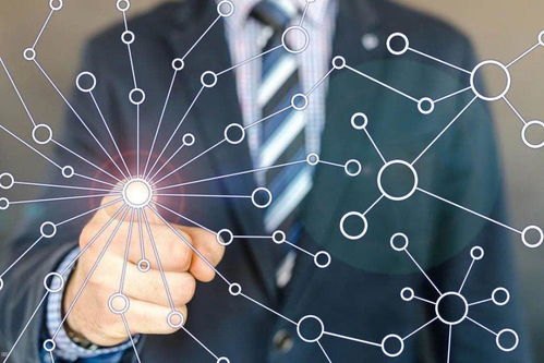 卡世界系统，数字时代的身份与边界重构卡世界全部系列