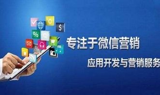 卡世界号卡分销平台，连接通信与商业的桥梁卡世界号卡分销平台官网