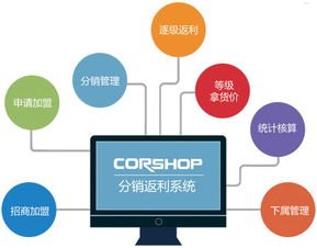 172卡分销系统，革新数字产品分销的未来172卡分销系统官网