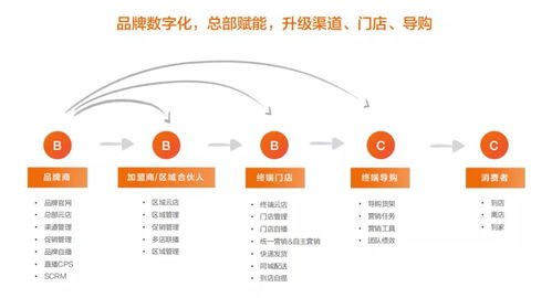号卡分销，数字化时代的通信业务新模式号卡分销平台哪个好