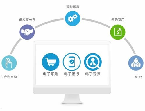 敢探号供应商代码，数字化供应链管理的关键要素敢探号供应商代码怎么查