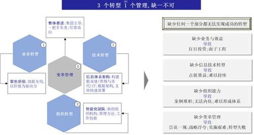敢探号供应商代码，数字化供应链管理的关键要素敢探号供应商代码怎么查