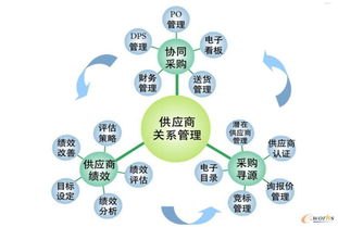 敢探号供应商代码，数字化供应链管理的关键要素敢探号供应商代码怎么查
