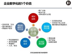 敢探号分销，数字化时代下的创新分销模式探索敢探号分销系统