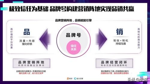 号卡代理，市场机遇与运营策略全解析号卡代理平台