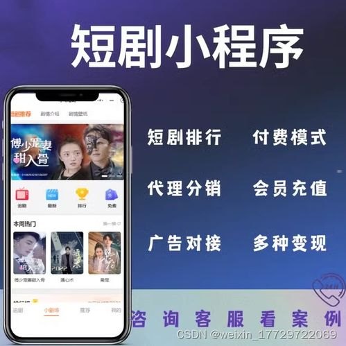 电话卡分销，市场机遇、运营模式与未来趋势电话卡分销平台哪个好