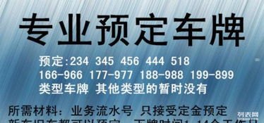 靓号代理，数字时代的身份象征与商业机遇靓号代理平台