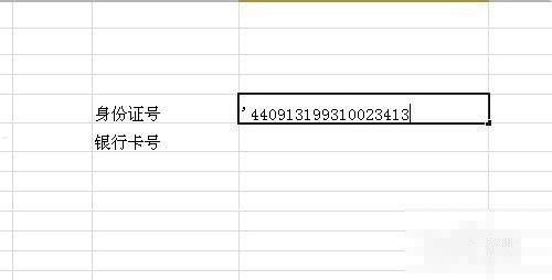 172号卡，数字时代的身份与信任新范式172号卡官网