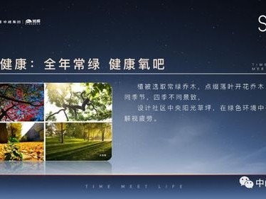 开启流量卡代理一件代发的创富之旅流量卡代理一件代发多少钱