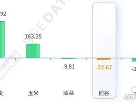 成为流量卡代理的成本与收益做流量卡代理要多少钱一个月