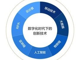 宸宇号卡平台，数字化时代下的智能卡管理新标杆宸宇号卡平台官网