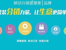 173 号卡分销系统，创新的商业模式与无限商机173号卡分销系统官网