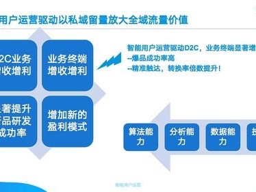 流量变现及推广，实现数字资产价值最大化的关键策略流量变现及推广 公司