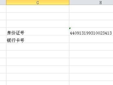 172号卡，数字时代的身份与连接新范式172号卡官网