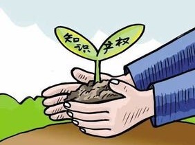 流量卡代理是否合法？解析流量卡代理的法律风险与合规要点流量卡代理犯法吗?
