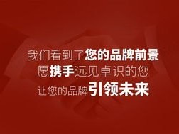 流量平台推广，提升品牌知名度与业务增长的关键策略流量平台推广怎么做