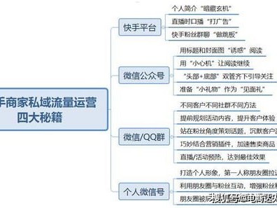 流量运营推广的策略与方法流量运营推广工作内容