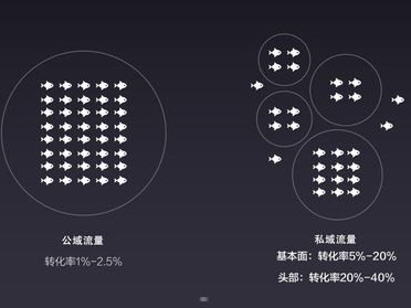 探索流量推广公司的奥秘流量推广公司运营模式