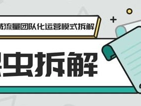 流量推广公司的奥秘与策略流量推广公司运营模式