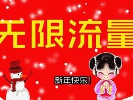 流量卡网站代理，市场机遇与运营策略流量卡网站代理怎么弄